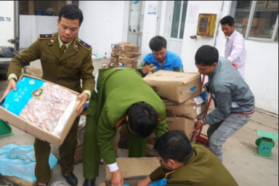 Hà Nội: Kiểm tra, xử lý 845 cơ sở vi phạm an toàn 13Win OKVIP Cá cược bóng đá