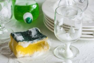 Gần 400 loại vi khuẩn tồn tại trong các miếng bọt biển rửa bát