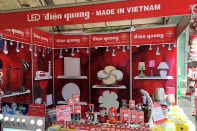 Liên tục vi phạm quy định công bố thông tin: Bóng đèn Điện Quang bị phạt 120 triệu đồng