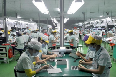 Đã đến lúc cần xem lại toàn diện chất lượng xuất khẩu