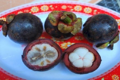 Ăn măng cụt cả hạt, coi chừng 'thần chết' cận kề