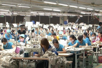 Toàn cảnh năng suất 13Win18 cá cược thể thao của Việt Nam