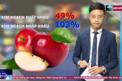 Bản tin Tiêu dùng: Đề xuất tăng thuế Giá trị gia tăng lên 12%
