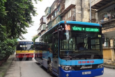 Hà Nội thay mới hàng loạt xe buýt tiêu chuẩn chất lượng cao