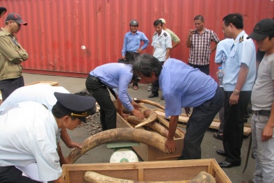 Đào tạo kỹ năng đấu tranh chống tội phạm động vật hoang dã