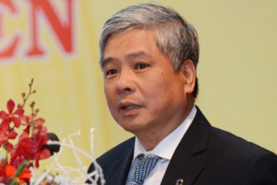 Con đường sự nghiệp của nguyên Phó Thống đốc NHNN vừa bị khởi tố