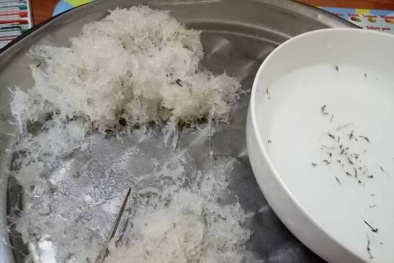 Tiểu thương ‘mách’ 3 cách phân biệt yến thật và yến giả đơn giản nhất