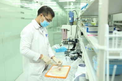 Đề xuất giảm tới 83% mức phí thẩm định an toàn vệ sinh 13Win OKVIP Cá cược bóng đá