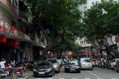 Những bất tiện khi nhà có... ô tô