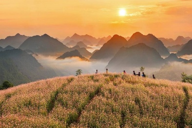 Tìm chiến hữu lên đường dự Lễ hội Hoa tam giác giác mạch lần thứ 3 ở Hà Giang ngay thôi