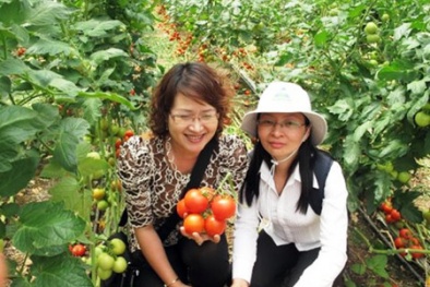 Nữ Giám đốc yêu cỏ tiết lộ bí quyết khởi nghiệp thành công