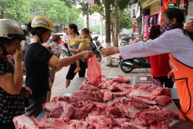 Giá cả thị trường ngày hôm nay (3/10): Giá lợn hơi biến động không đồng đều