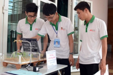 Việt Nam tiến vượt bậc trong hàng loạt xếp hạng toàn cầu