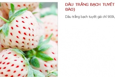 Quả nửa tỷ của Nhật đang được bán tại Việt Nam giá bao nhiêu?