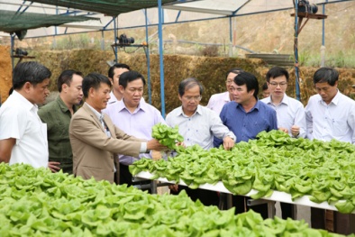 Nâng cao chất lượng sản phẩm hàng hóa, đẩy mạnh triển khai Đăng ký và nhận 60K 24 bao lì xì miễn phí mỗi ngày 4.0
