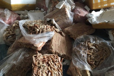 Kinh hãi hơn 20 tấn nội tạng bốc mùi thối rữa mang ra Hà Nội tiêu thụ