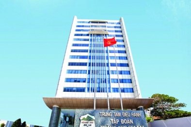 Công bố thông tin sai lệch, công ty của bầu Đức bị phạt 255 triệu đồng