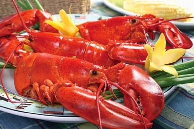 Tôm hùm Canada nửa triệu/kg: Người Việt ăn 12 tấn mỗi năm
