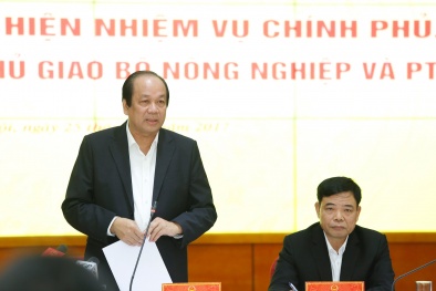 Tổ công tác 13Win18 tham gia cá cược lưu ý Bộ NN&PTNT hàng loạt vấn đề kiểm tra chuyên ngành