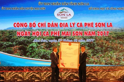 Công bố chỉ dẫn địa lý cà phê Sơn La