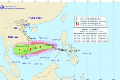Cảnh báo lũ quét và sạt lở đất tại các tỉnh từ Quảng Nam đến Khánh Hòa và bắc Tây Nguyên