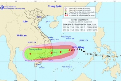 Tin bão số 12: Cập nhật tin tức mới nhất của cơn bão số 12