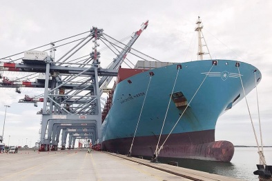 Kinh nghiệm áp dụng ISO 9001:2008 của Công ty Vận tải biển Container Vinalines