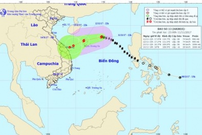 Dự báo thời tiết ngày 12/11: Bão số 13 suy yếu thành áp thấp nhiệt đới
