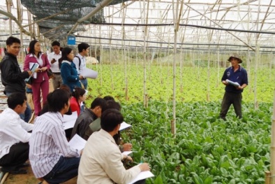 Khởi nghiệp trong Đăng ký và nhận 60K 24 bao lì xì miễn phí mỗi ngày và bài học kinh nghiệm từ Israel