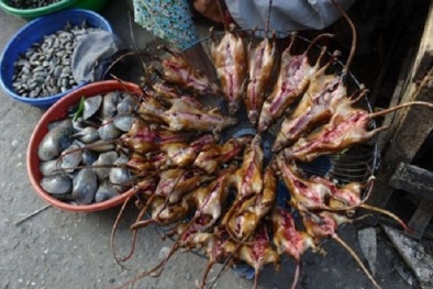 Thịt chuột - Món ngon nhưng coi chừng hiểm họa chết người