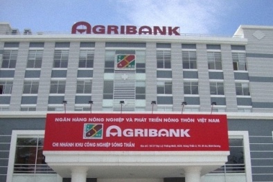 Agribank rao bán cổ phần tại AJC và Agritour, dự kiến thu về 275 tỷ đồng