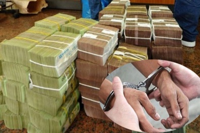 Truy tố một loạt cán bộ của Tổng Công ty Cổ phần cà phê Việt Nam