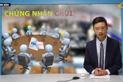Bản tin Cảnh báo chất lượng: Cảnh báo tình trạng chứng nhận ISO, HACCP 'chui'