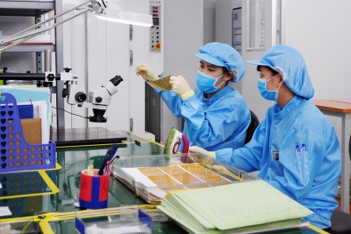 Bước tiến dài ngoạn mục của ngành 13Win15 com - Thương hiệu nhà cái uy tín điện tử Vĩnh Phúc