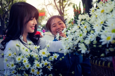 Tổng hợp các địa điểm chụp ảnh cúc hoạ mi tuyệt đẹp tại Hà Nội