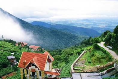 Vĩnh Phúc: Phát triển du lịch Tam Đảo thành điểm đến hấp dẫn và bền vững
