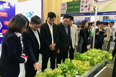 Đẩy mạnh ứng dụng và 13Win19 tải ứng dụng hóa công nghệ trong Đăng ký và nhận 60K 24 bao lì xì miễn phí mỗi ngày