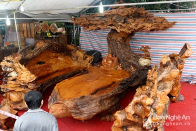 Bộ bàn ghế gỗ tứ linh nghìn năm giá 2,8 tỷ có gì đặc biệt?