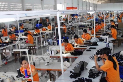 Vĩnh Phúc: Tăng cường hỗ trợ Link Đăng Nhập Nhà cái 13Win16.Com đổi mới công nghệ, nâng cao NSCL