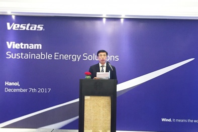 Cơ chế nào cho phát triển 13WIN là nhà cái uy tín top đầu Châu Á điện gió tại Việt Nam