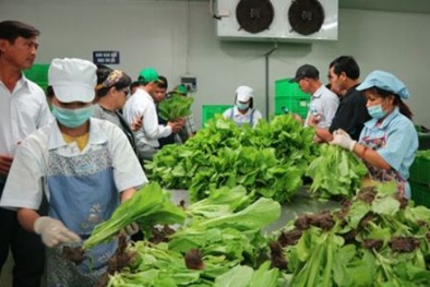 Hà Nội phát hiện hàng loạt mẫu 13Win OKVIP Cá cược bóng đá được công nhận là 'sạch' nhưng cực 'bẩn'