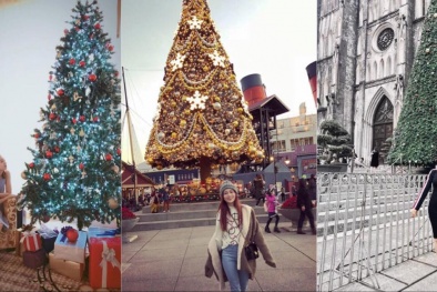 Muôn kiểu checkin với cây thông Noel mừng Giáng sinh của sao Việt