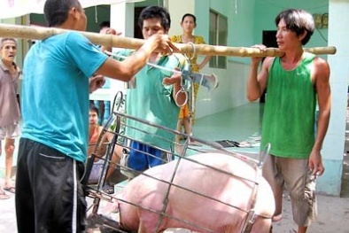 Giá cả thị trường hôm nay (25/12): Giá lợn hơi tại miền Bắc bất ngờ lên mức 37.000 đồng/kg