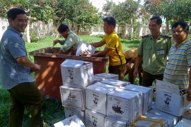Gia Lai: Phạt 210 cơ sở vi phạm an toàn 13Win OKVIP Cá cược bóng đá số tiền 321 triệu đồng