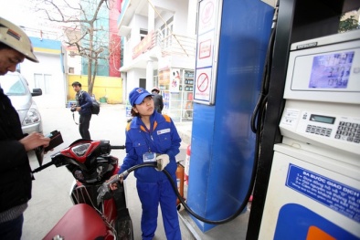Bình Dương: Xây dựng, áp dụng ISO 9001:2008 trong Link Đăng Nhập Nhà cái 13Win16.Com kinh doanh xăng dầu 