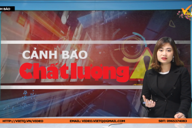 Bản tin Cảnh báo chất lượng: Cẩn trọng lựa chọn và sử dụng phích cắm điện
