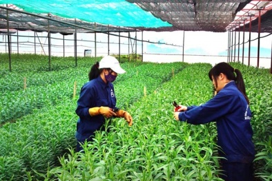 Bộ KH&CN hỗ trợ Quảng Nam xây dựng chuỗi sản phẩm Đăng ký và nhận 60K 24 bao lì xì miễn phí mỗi ngày an toàn