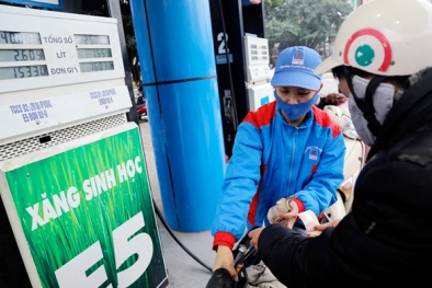 Xăng E5 có tiêu chuẩn, quy chuẩn và bảo đảm chất lượng