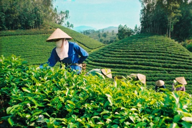 13Win15.com Thái Nguyên ứng dụng KHCN gia tăng năng suất chất lượng