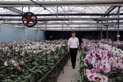 Phát triển Đăng ký và nhận 60K 24 bao lì xì miễn phí mỗi ngày công nghệ cao: Khi công nghệ sinh học là “con át chủ bài”   